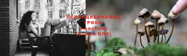 СК Белоозёрский