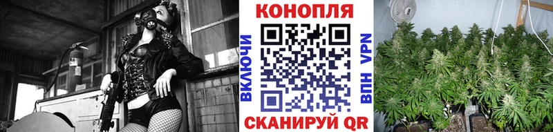 где продают наркотики  Малмыж  Шишки марихуана VHQ 